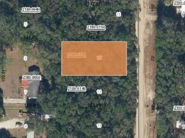 0 Dunham, Interlachen, FL 32148 - #2