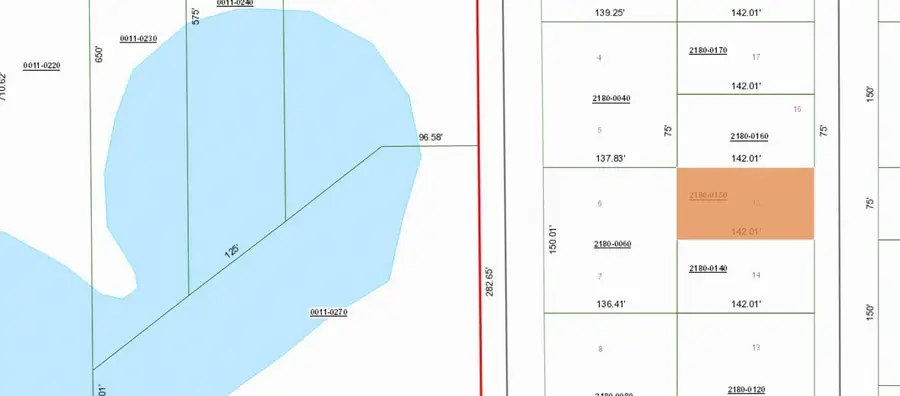 0 Dunham, Interlachen, FL 32148 - #3