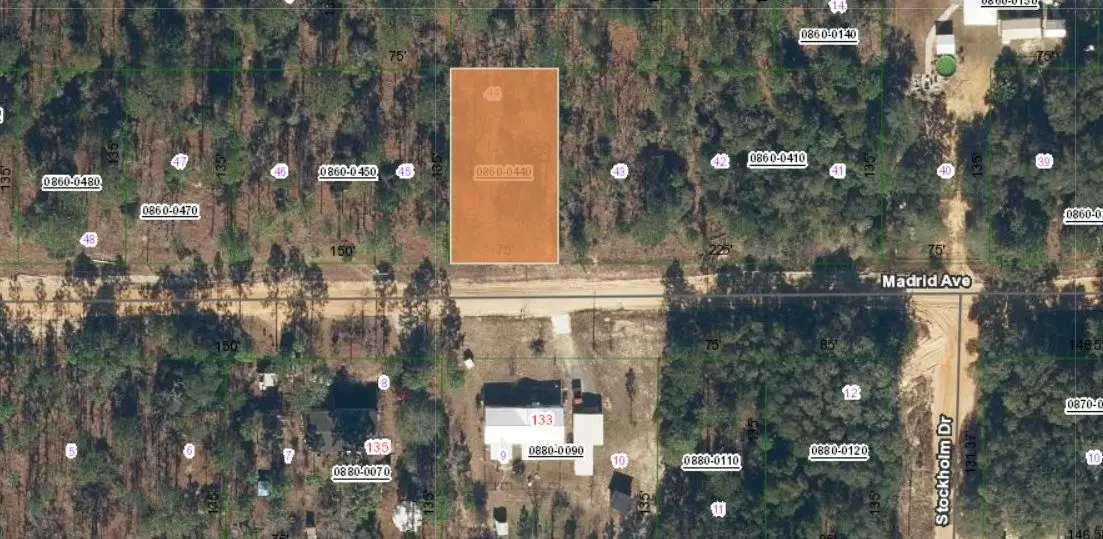 132 Madrid Ave, Interlachen, FL 32148 - #1