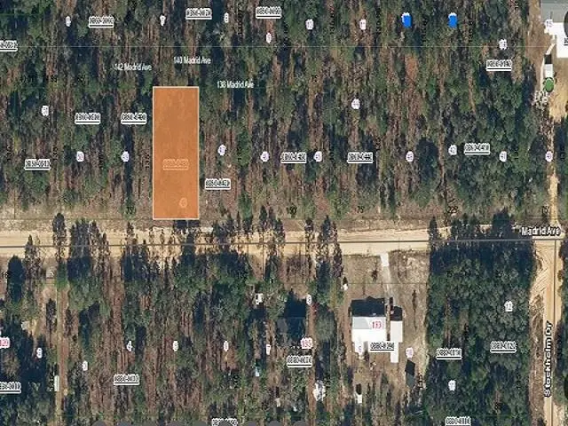 140 Madrid, Interlachen, FL 32148 - #1