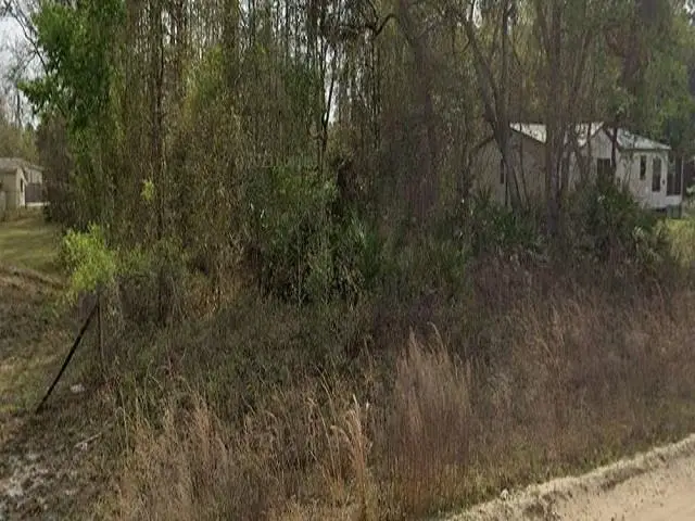 0 Britt, Interlachen, FL 32148 - #3