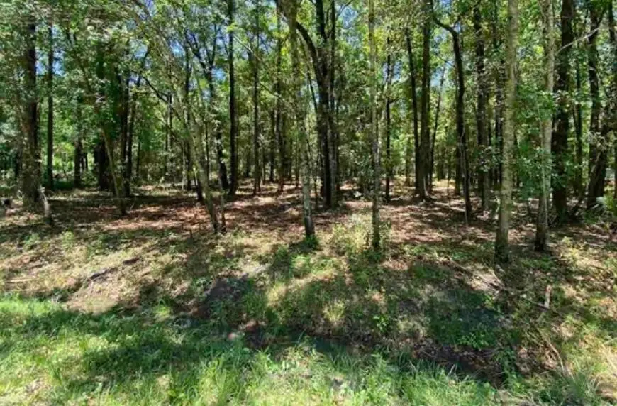 4810 Noel Street, Hastings, FL 32145 - #1