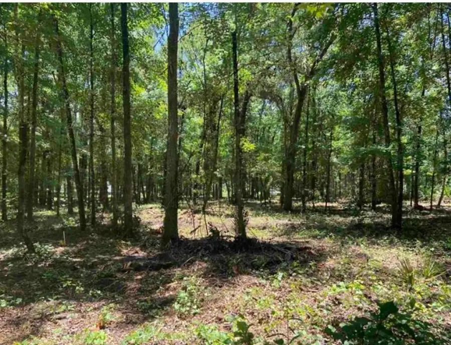 4810 Noel Street, Hastings, FL 32145 - #3