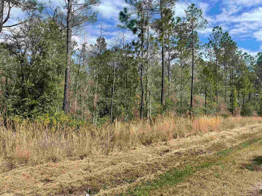 10730 Yeager, Hastings, FL 32145 - #3