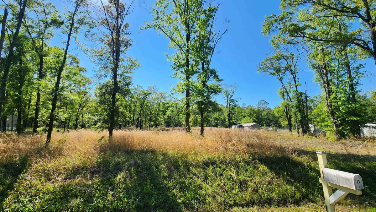 10235 W Deep Creek Blvd, Hastings, FL 32145 - #1