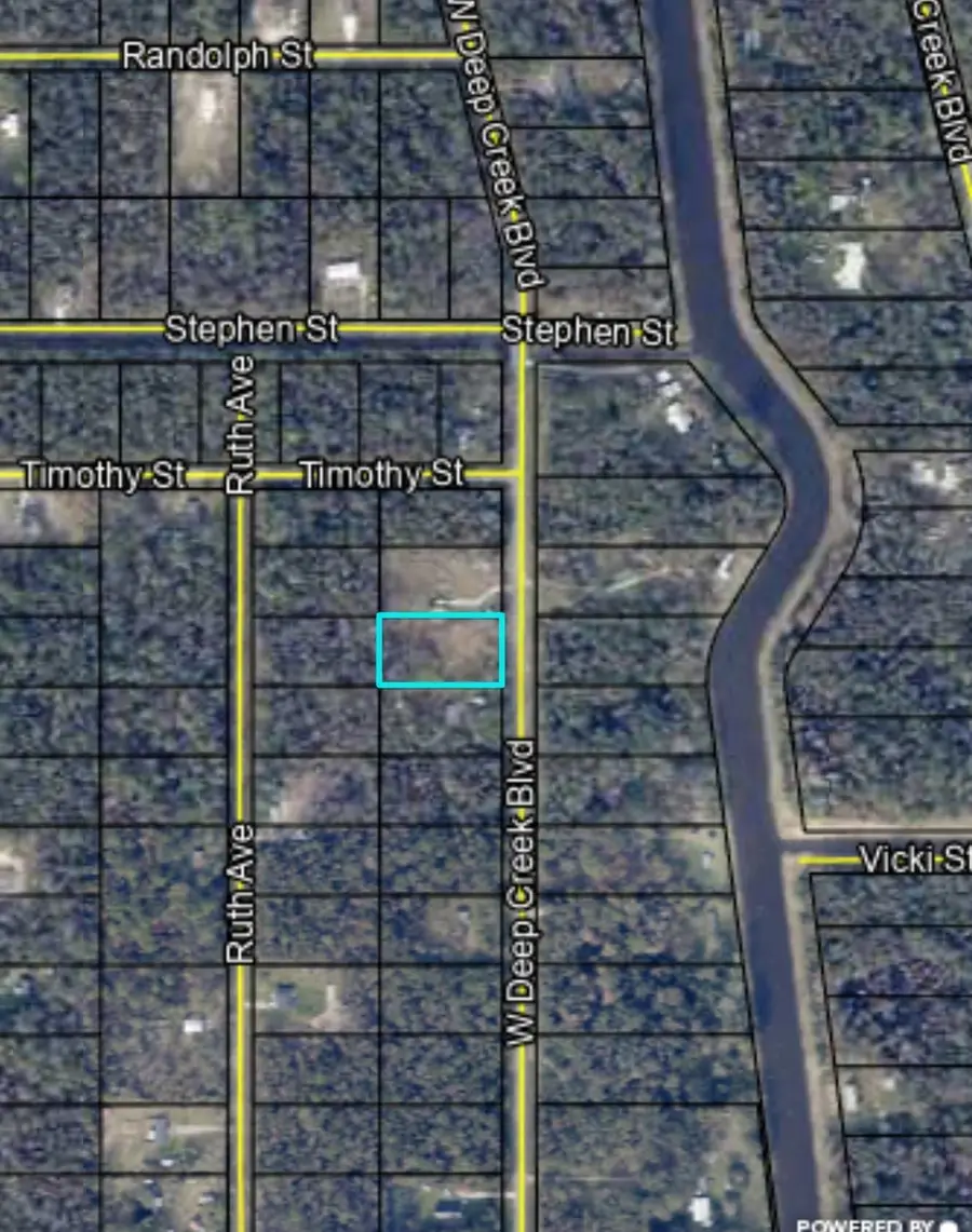 10235 W Deep Creek Blvd, Hastings, FL 32145 - #3