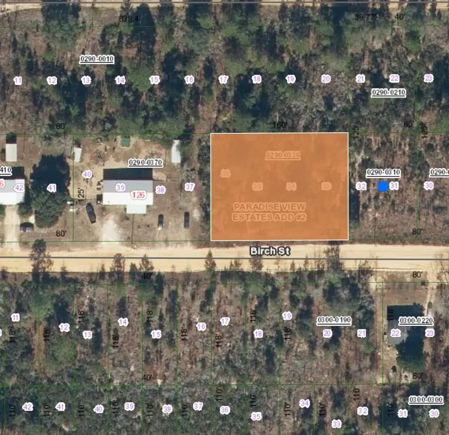0 Birch St, Interlachen, FL 32148 - #2