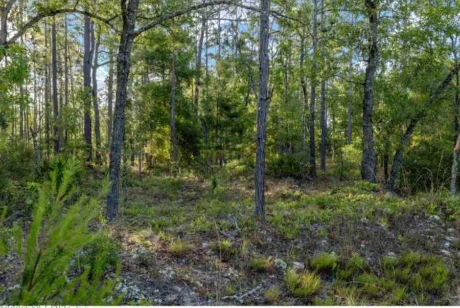 7397 Hoosier Ave, Keystone Heights, FL 32656 - #3