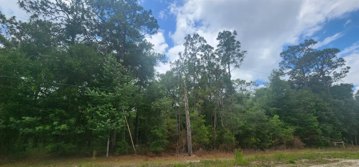 415 Pheasant Rd, Satsuma, FL 32189 - #1