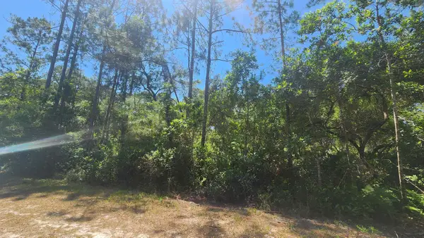 329 Palm Way, Georgetown, FL 32139