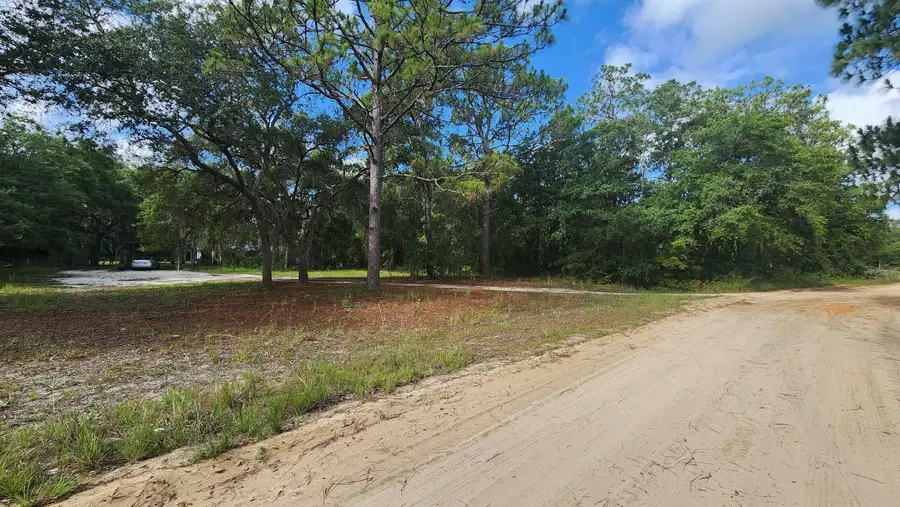 00 Britt, Interlachen, FL 32148 - #2