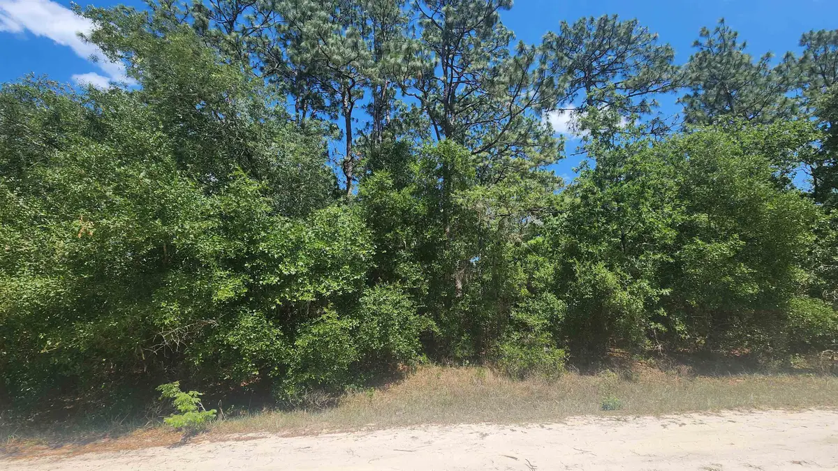 218 Summit Rd, Satsuma, FL 32189 - #1