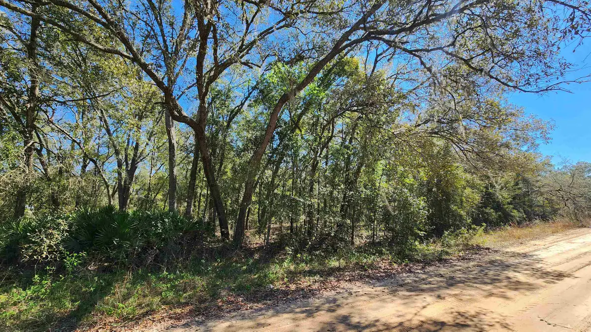 Cordell Ave, Interlachen, FL 32148 - #1