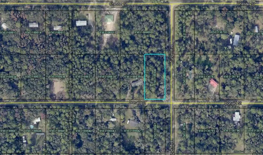 9715 Turpin Ave, Hastings, FL 32145 - #1