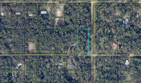 9715 Turpin Ave, Hastings, FL 32145