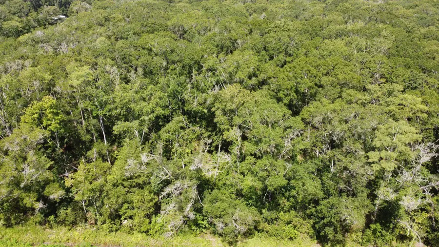 10555 Turpin Ave, Hastings, FL 32145 - #3