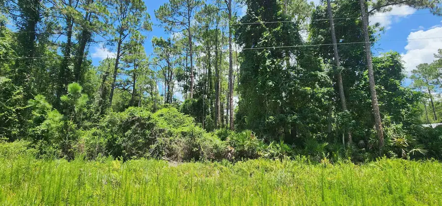 112 Northeast Ter, Georgetown, FL 32139 - #2