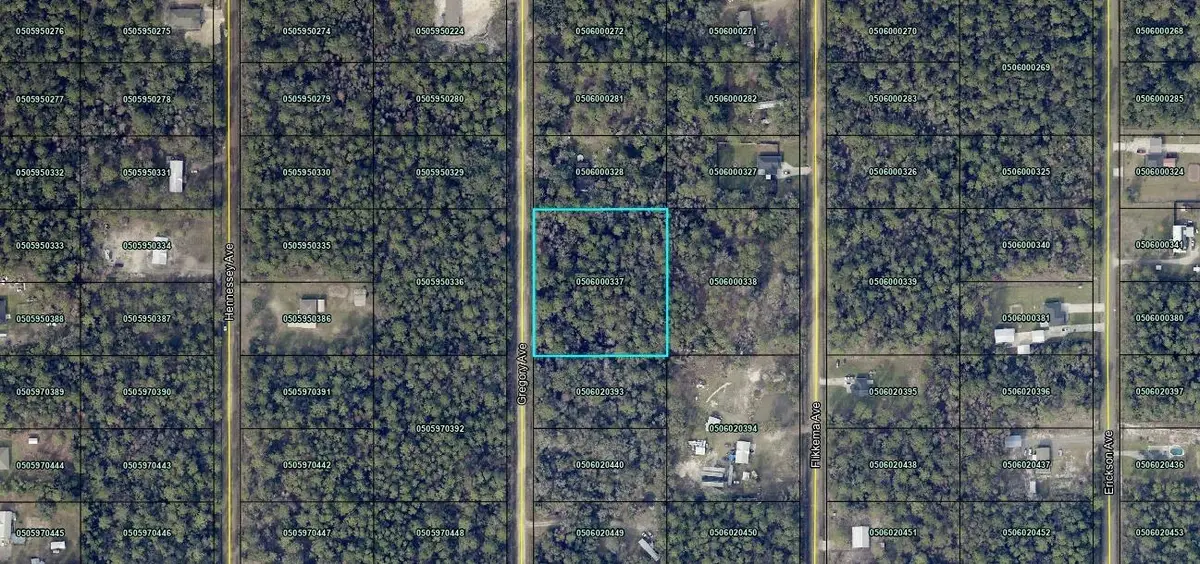 10050 Gregory Ave, Hastings, FL 32145 - #1