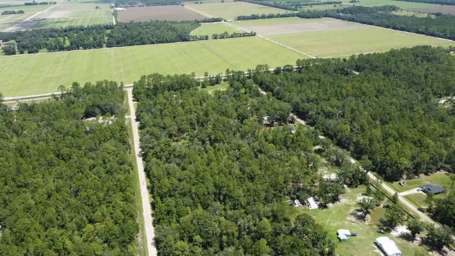 10050 Gregory Ave, Hastings, FL 32145 - #2