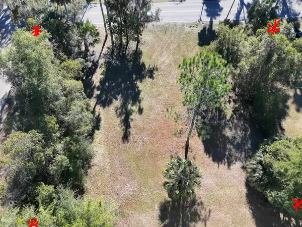 3000 Elm St, Welaka, FL 32193