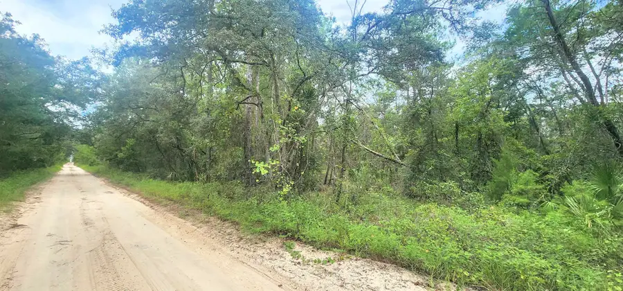 Minnesota Ave, Satsuma, FL 32189 - #2