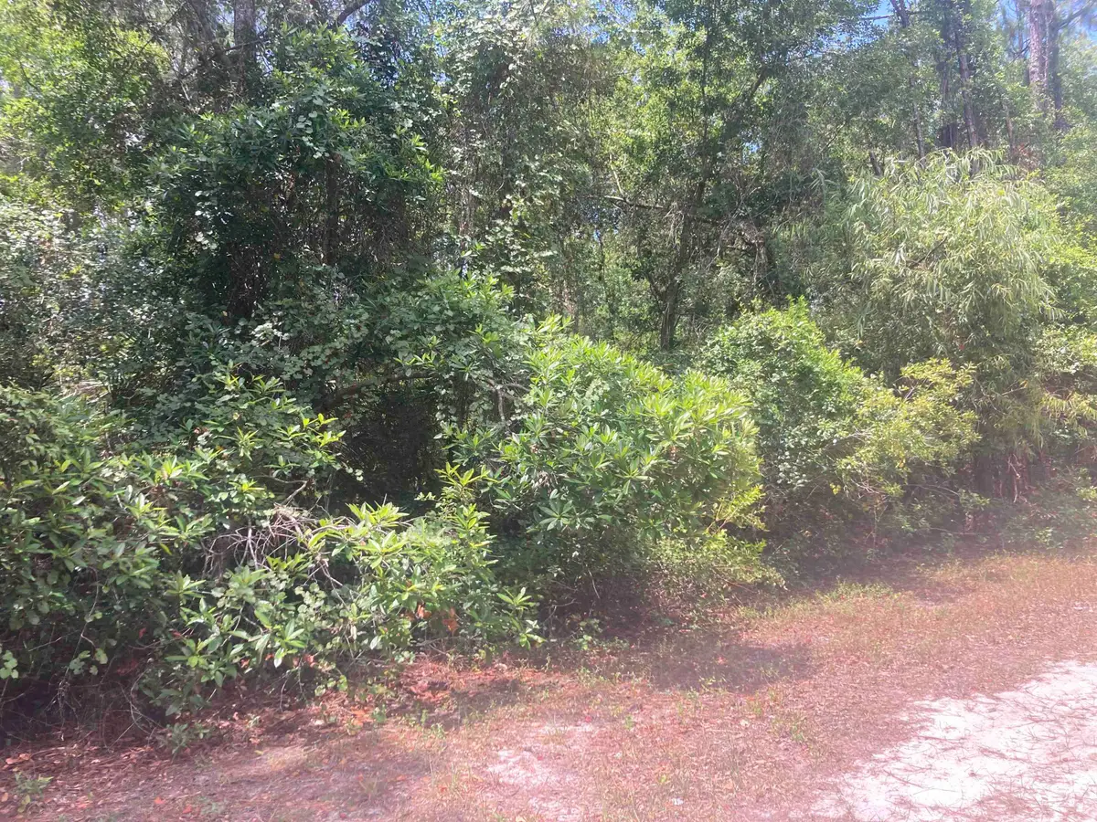 430 Palm Way, Georgetown, FL 32139 - #1