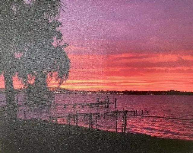 115 Sunset Point Rd, East Palatka, FL 32131 - #3