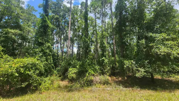 130 Helen Ave, Georgetown, FL 32139