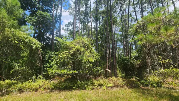 126 Helen Ave, Georgetown, FL 32139