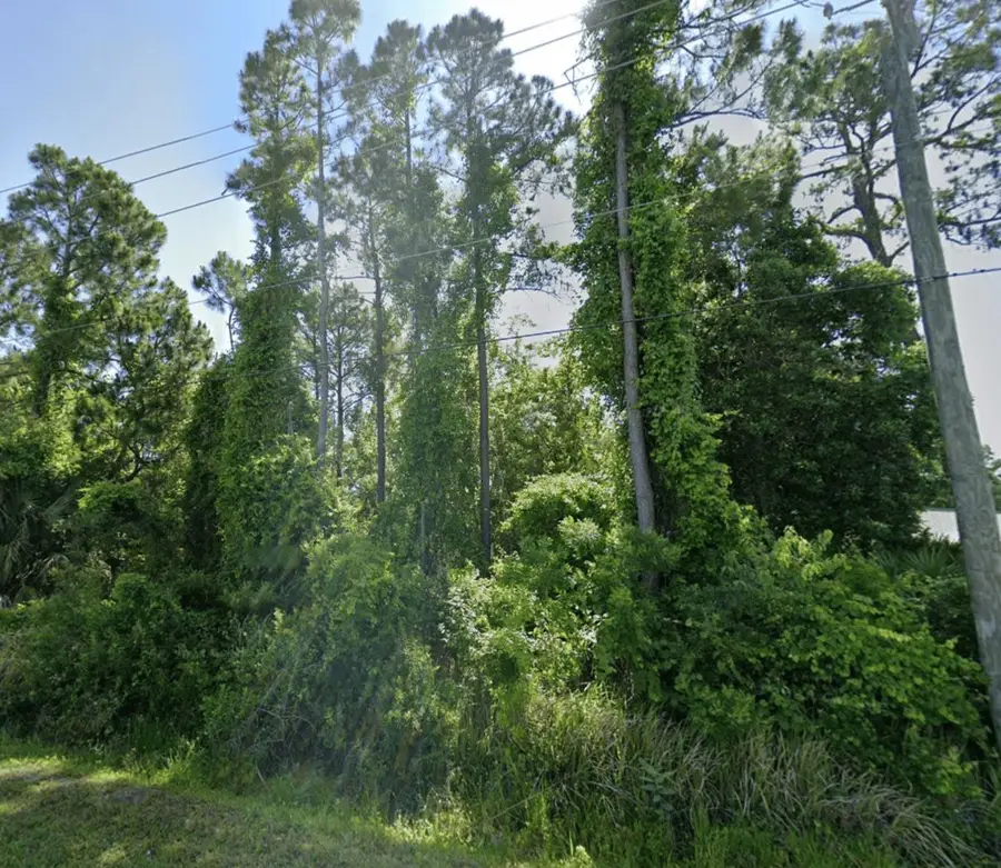 0 Dobbs Rd, Saint Augustine, FL 32086 - #3