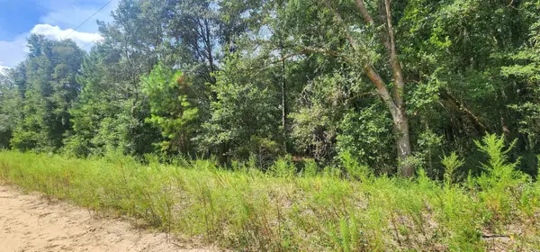 Donys Ave, Interlachen, FL 32148