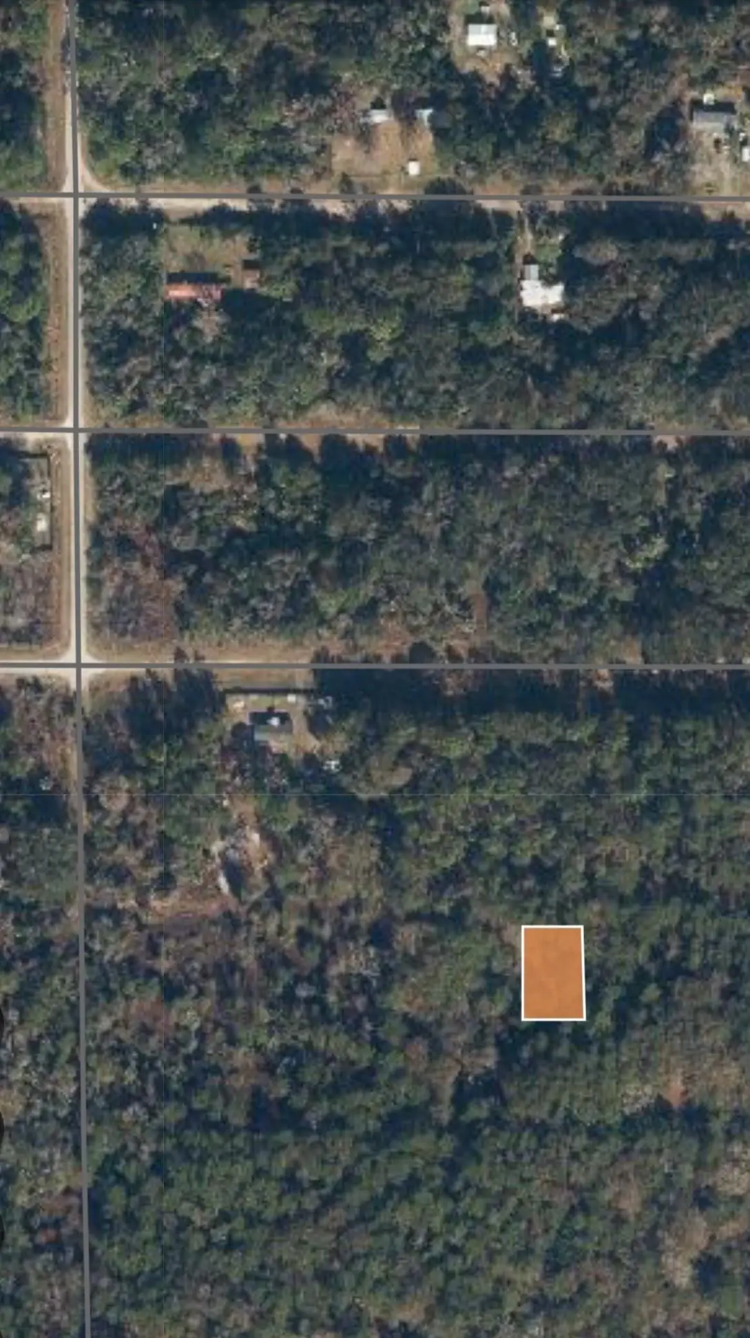 315 E Edgewood Dr, Georgetown, FL 32139 - #1