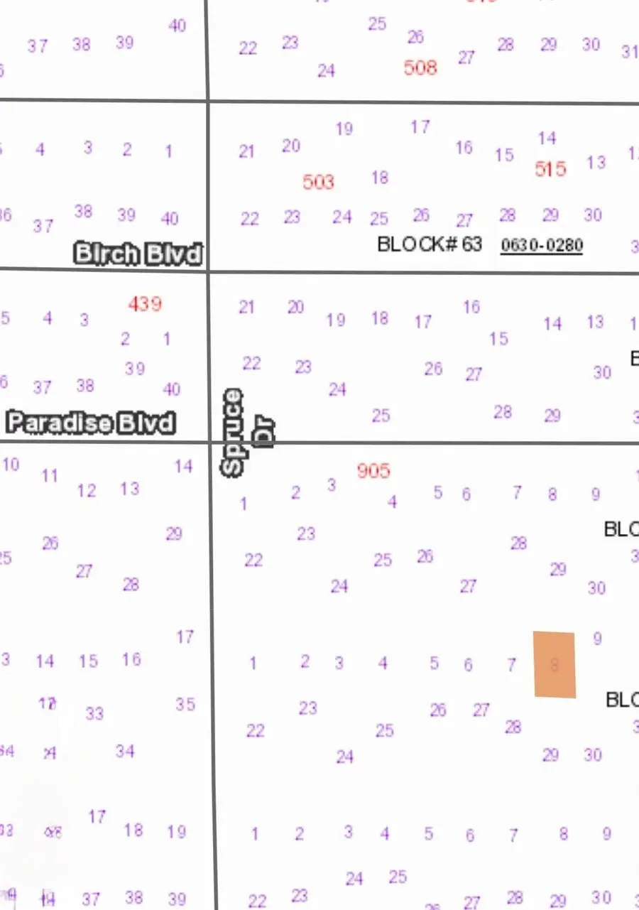 315 E Edgewood Dr, Georgetown, FL 32139 - #2