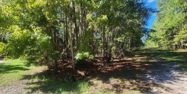 TBD Helen Ave, Georgetown, FL 32139