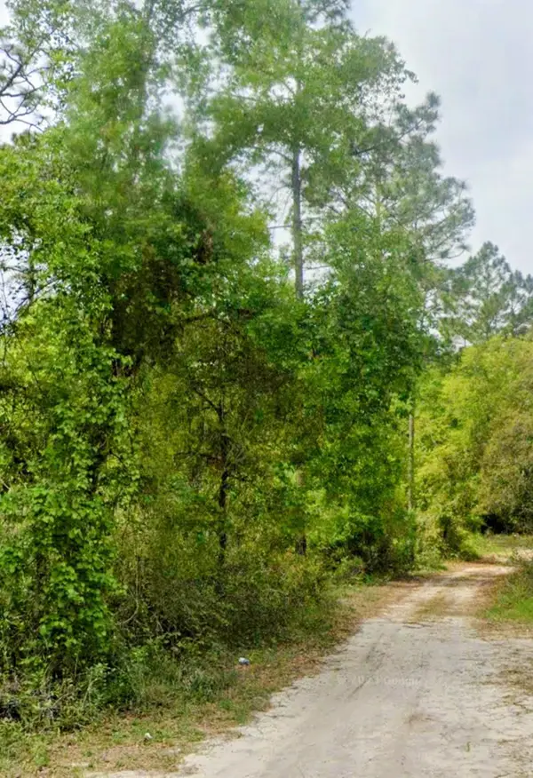 TBD N Edgeline Rd, Satsuma, FL 32189