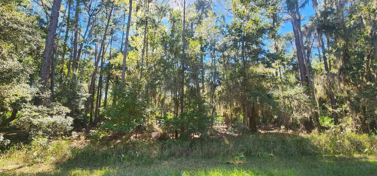 205 Terri Ave, Georgetown, FL 32139 - #1