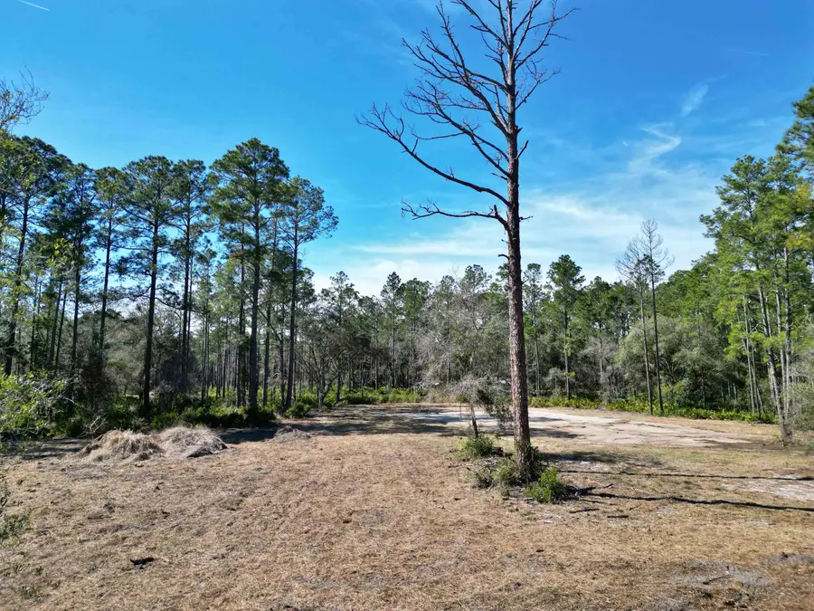 10455 Yeager Ave ( 3 Lots ), Hastings, FL 32145 - #3