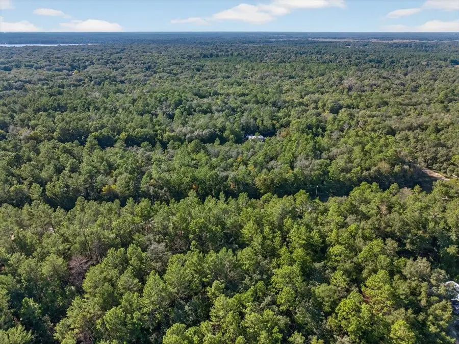 Usina Ave, Interlachen, FL 32148 - #3