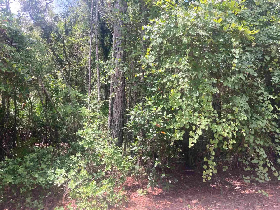 327 Palm Way, Georgetown, FL 32139 - #2