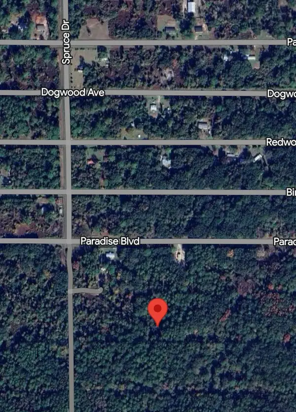 312 Laisy Dr, Georgetown, FL 32139