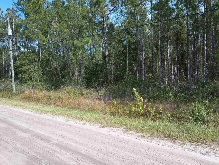 10520 Beckenger Ave, Hastings, FL 32145 - #2