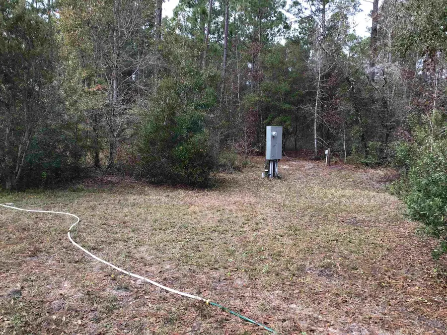 10575 Allison Ave, Hastings, FL 32145 - #2