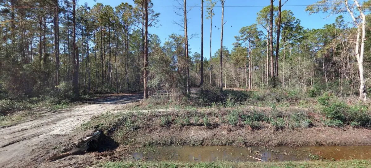 10695 Flikkema Ave, Hastings, FL 32145 - #1