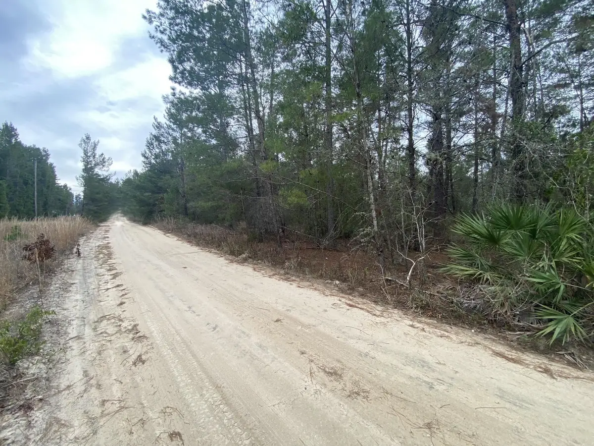 211 Suge Ln., Florahome, FL 32140 - #1