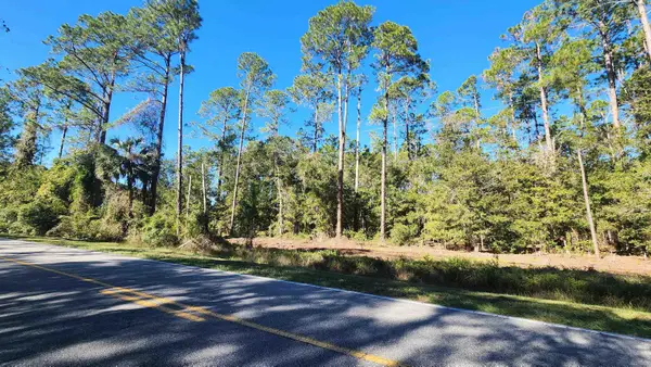 TBD Georgetown Denver Rd, Georgetown, FL 32139