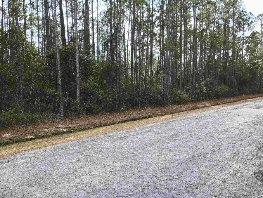 10230 Dillon Ave, Hastings, FL 32145 - #2