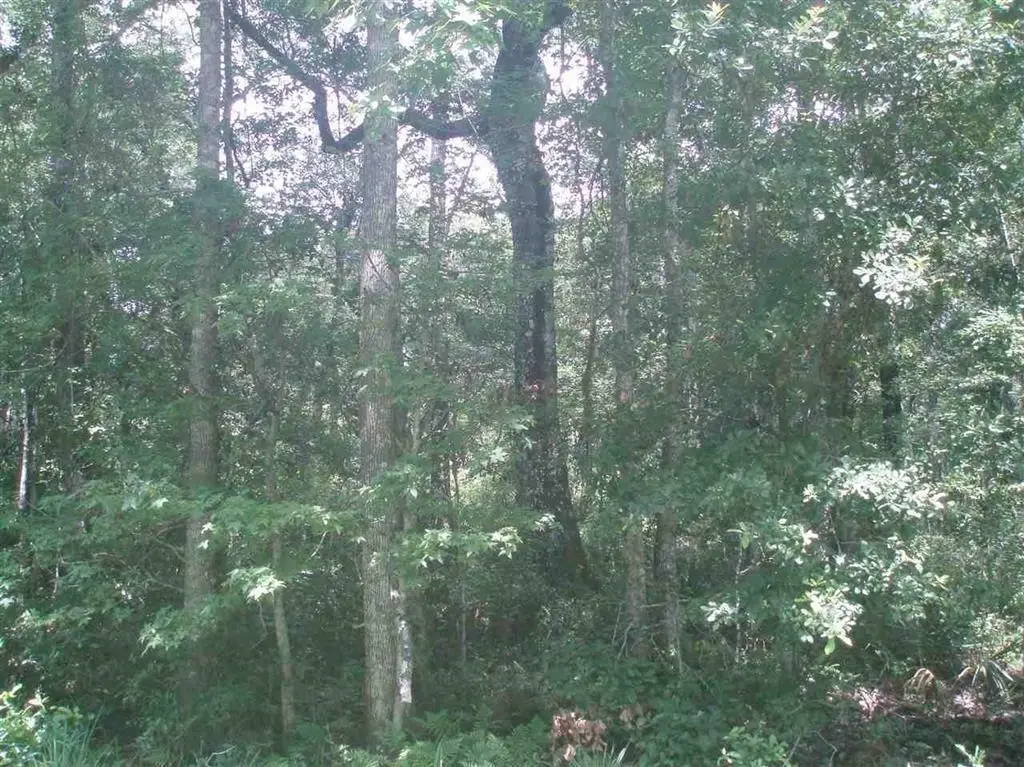 10685 Vaughan Ave, Hastings, FL 32145 - #1