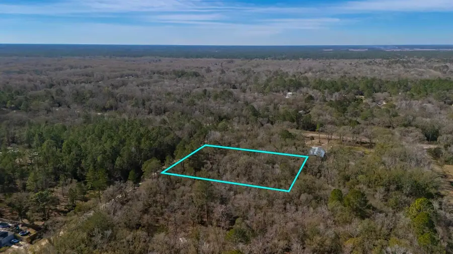 4770 Benedict St, Hastings, FL 32145 - #3