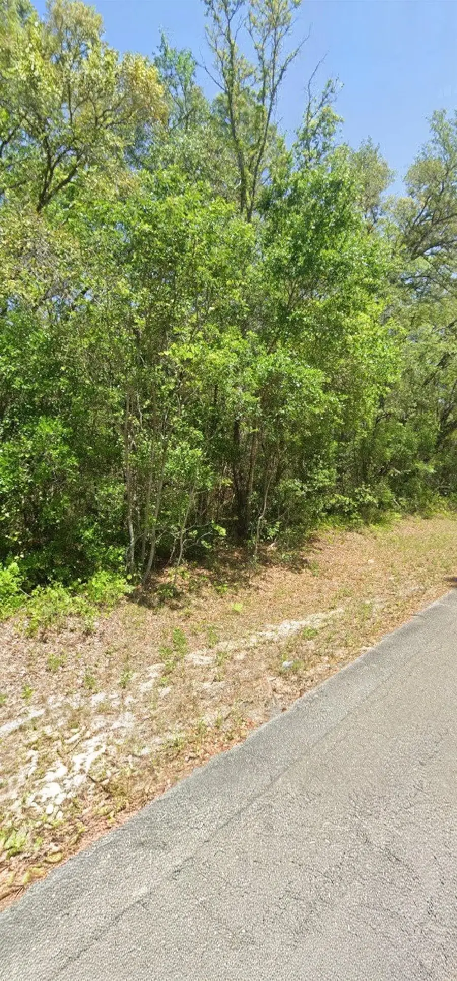Guava Lane Trak, Ocklawaha, FL 32179 - #2