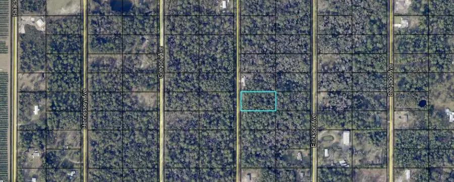 10530 Flikkema Ave, Hastings, FL 32145 - #2